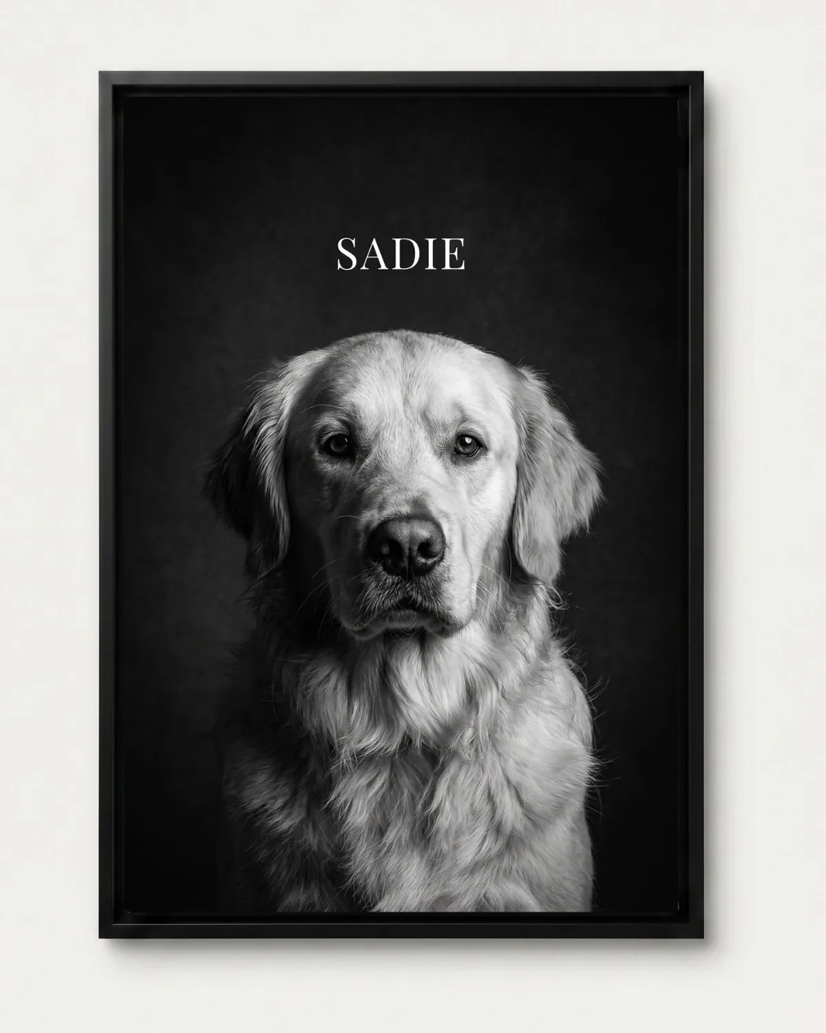The Noir poster