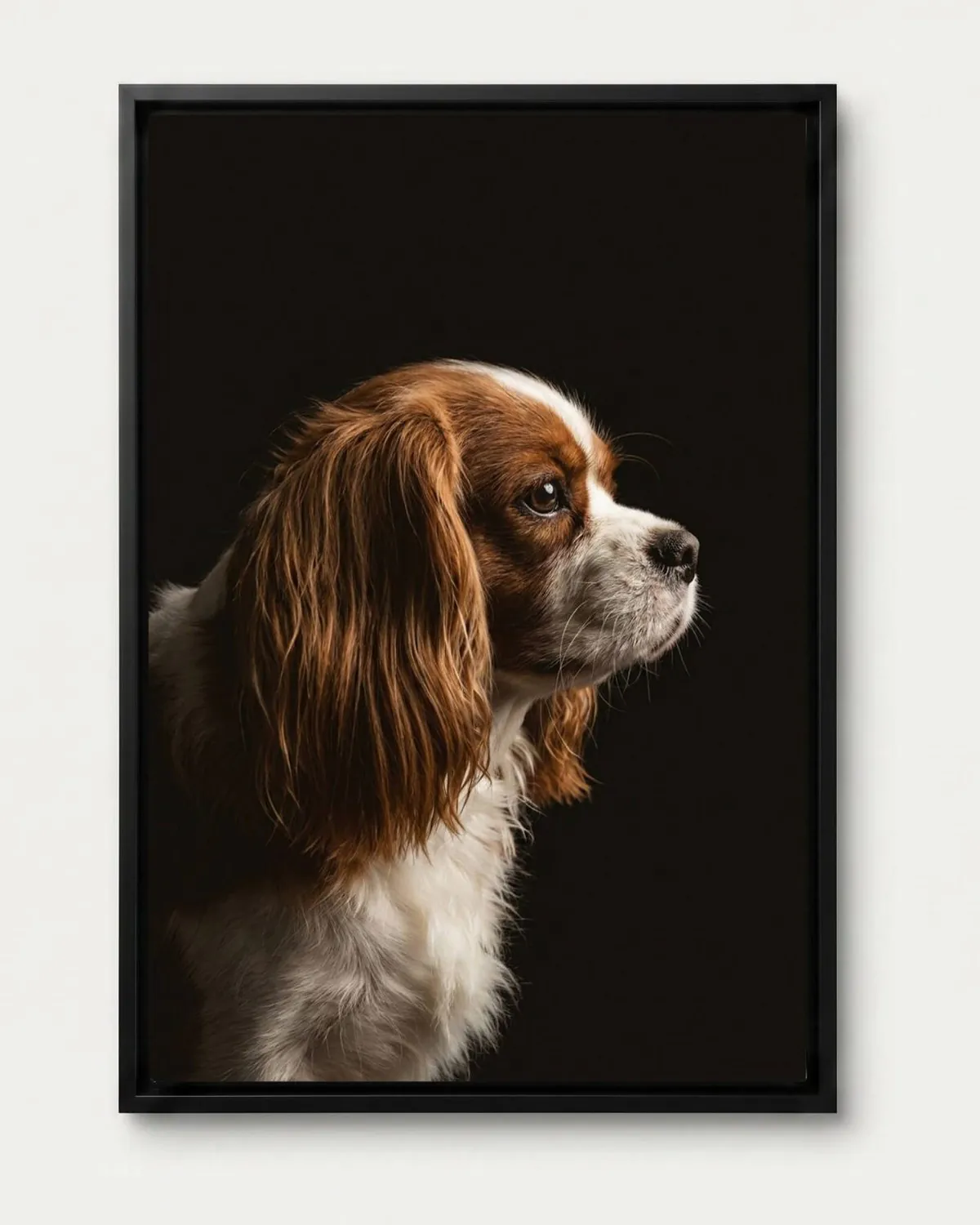 The Profile poster